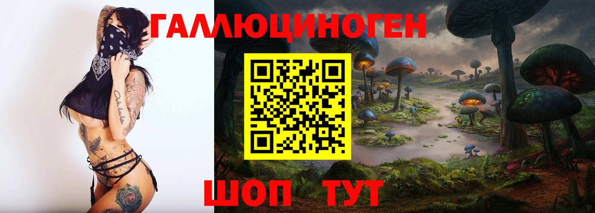 Псилоцибиновые грибы мицелий Воронеж